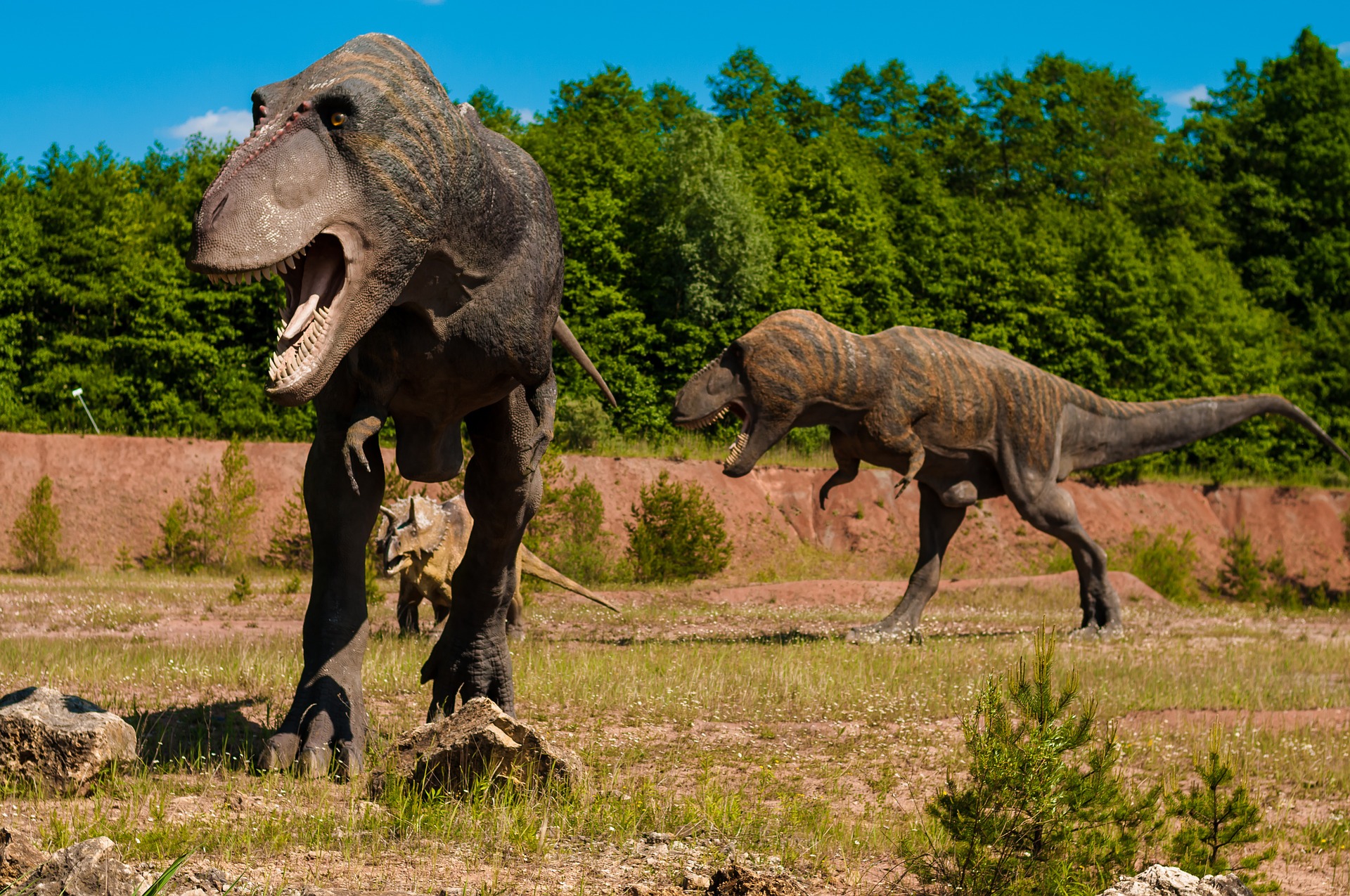 ティラノサウルス実は弱い トリケラトプスとどっちが強いか徹底解説 恐竜博士と赤ちゃん恐竜と一緒に恐竜を知ろう
