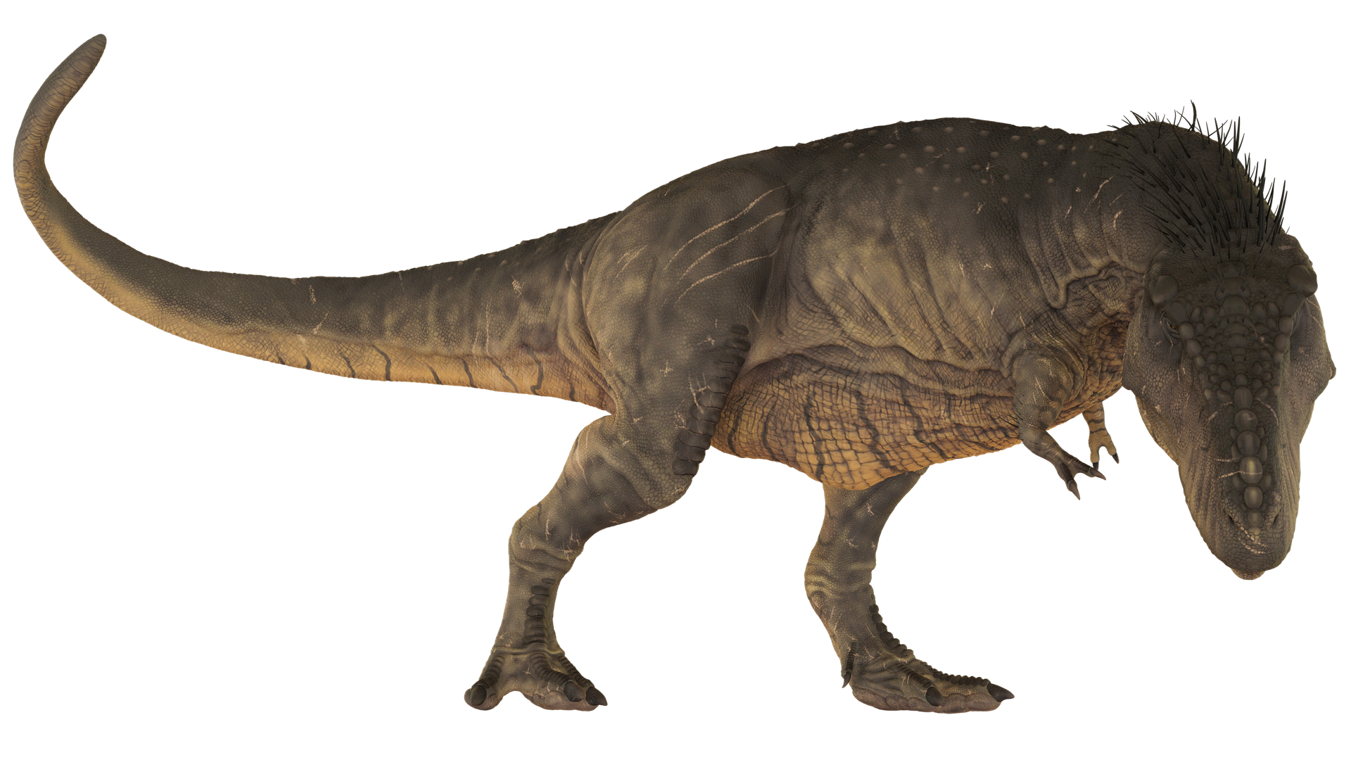 ティラノサウルスに羽毛はあった 羽毛説の真実を徹底解説 恐竜博士と赤ちゃん恐竜と一緒に恐竜を知ろう