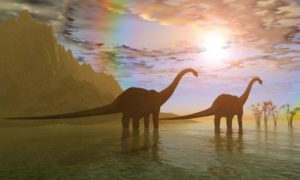 ディプロドクスは草食恐竜?鳴き声や骨格等の特徴を徹底解説