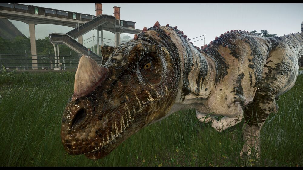 ケラトサウルスの大きさや特徴は?重さや意味、餌や生息地は?