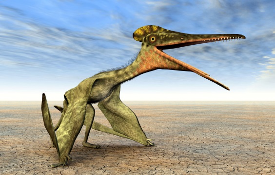 プテロダクティルスはどんな恐竜 プテラノドンとの違いは 恐竜博士と赤ちゃん恐竜と一緒に恐竜を知ろう