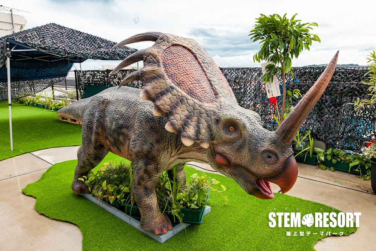 スティラコサウルスとトリケラトプスの違いは どんな恐竜 恐竜博士と赤ちゃん恐竜と一緒に恐竜を知ろう