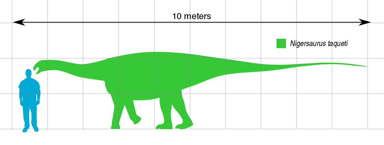 ニジェールサウルスの特徴 大きさや体重 餌 生息地 強さなど解説 恐竜博士と赤ちゃん恐竜と一緒に恐竜を知ろう